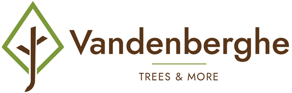 Vandenberghe