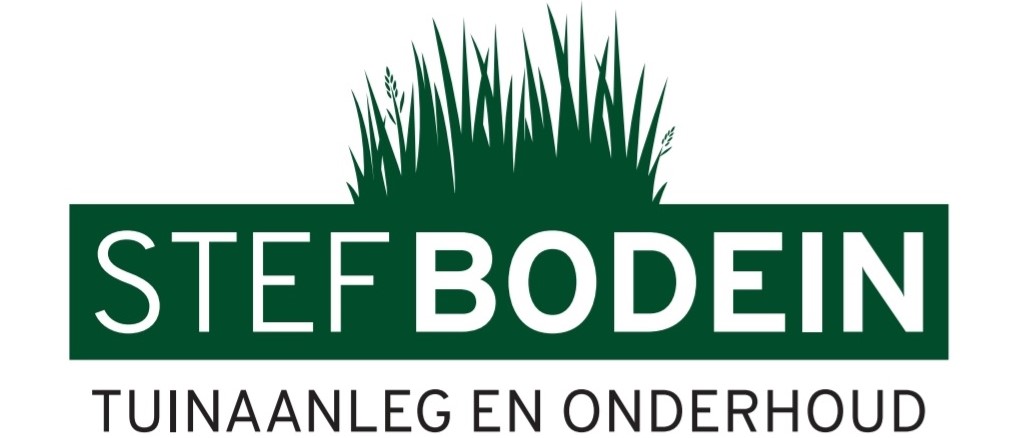 Stef Bodein